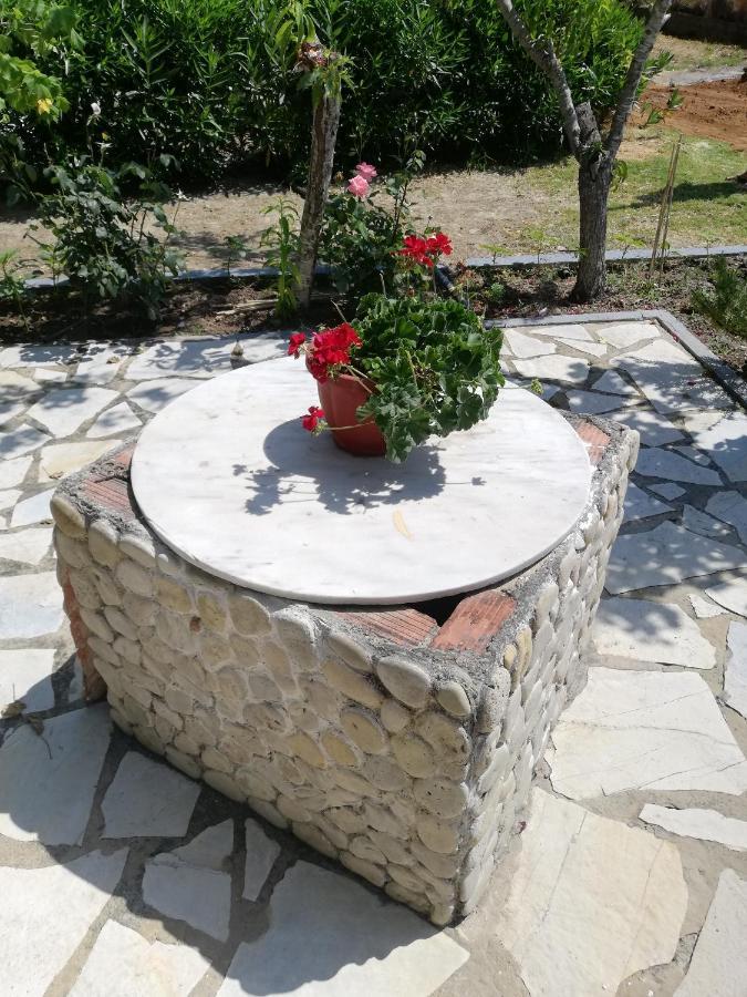 Anestis Studios Agios Georgios  Luaran gambar