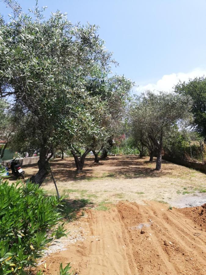 Anestis Studios Agios Georgios  Luaran gambar
